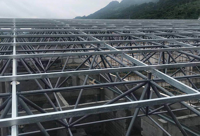 大同學校藝體樓網架